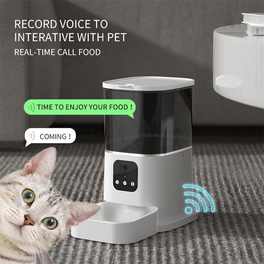 Pet Automatic Feeder - Gadgystox