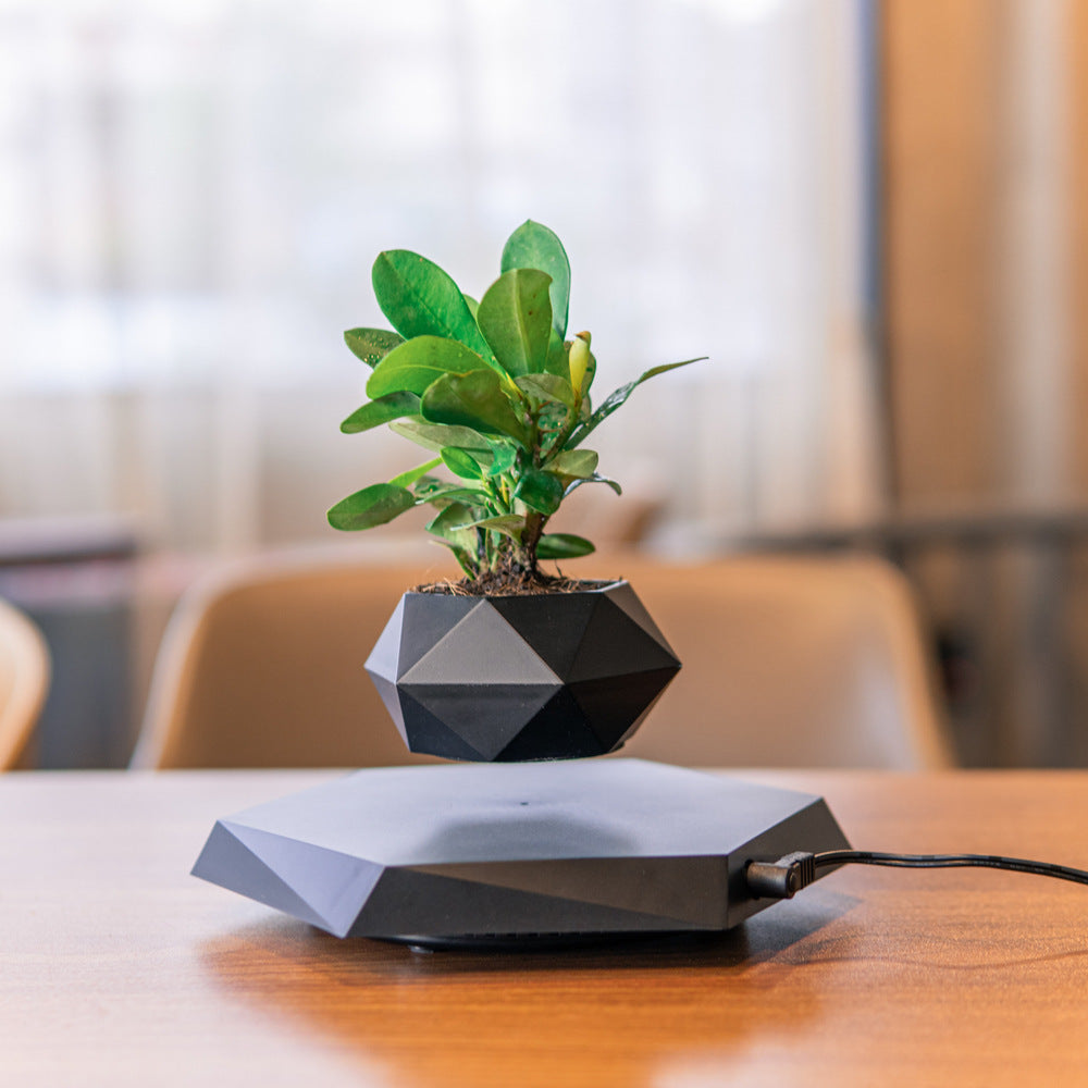 Floating Magnetic Levitating Flower Pot - Gadgystox