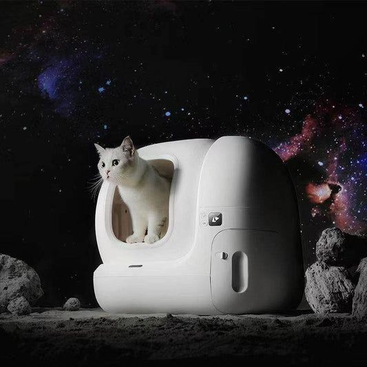 Automatic Cat Litter Box - Gadgystox
