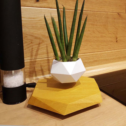Floating Magnetic Levitating Flower Pot - Gadgystox